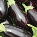 تعبیر خواب بادمجان امام صادق برای زن متاهل و باردار و دختر مجرد از روانشناسی