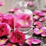 تعبیر خواب گلاب حضرت یوسف برای زن متاهل و باردار و دختر مجرد از روانشناسی
