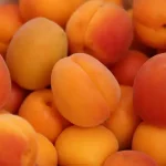 تعبیر خواب زردآلو امام صادق برای زن متاهل و باردار و دختر مجرد از روانشناسی