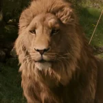 ویدیوی پشت‌صحنه Narnia ساخته گرتا گرویگ، لباس جادوگر سفید را نشان می‌دهد