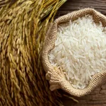 تعبیر خواب برنج و گندم برای زن متاهل و باردار و دختر مجرد از روانشناسی