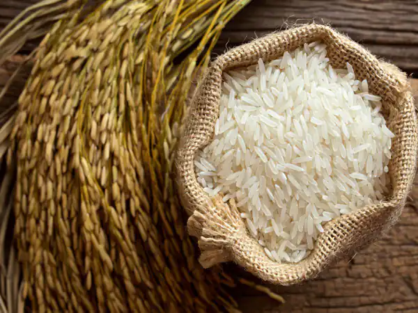 تعبیر خواب برنج و گندم برای زن متاهل و باردار و دختر مجرد از روانشناسی