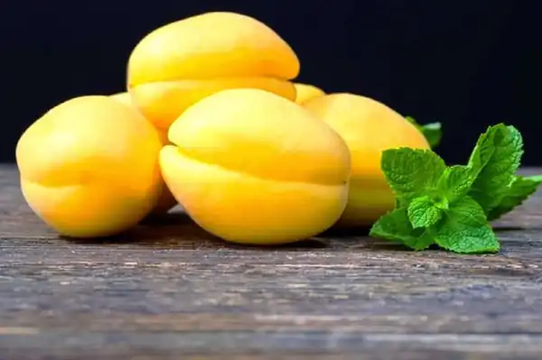 تعبیر خواب گرفتن زردآلو از مرده برای زن متاهل و باردار و دختر مجرد از روانشناسی