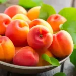 تعبیر خواب زردآلو سرخ برای زن متاهل و باردار و دختر مجرد از روانشناسی