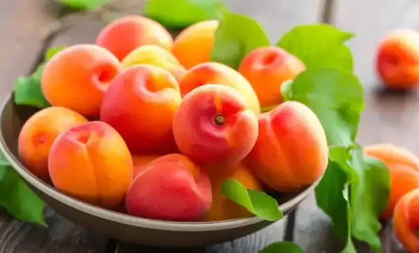تعبیر خواب زردآلو سرخ برای زن متاهل و باردار و دختر مجرد از روانشناسی