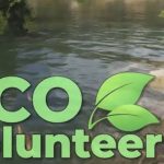 تماشا کنید: تجربه پاک‌سازی محیط‌زیست در بازی Eco Volunteer
