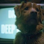 تریلر جدید فیلم Good Boy وحشت را از دید متفاوتی نشان می‌دهد