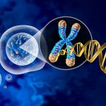 سرعت پیری شما احتمالا توسط یک «رئیس ترمیم DNA» در سلول‌هایتان کنترل می‌شود