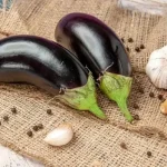 تعبیر خواب بادمجان دادن به مرده برای زن متاهل و باردار و دختر مجرد از روانشناسی
