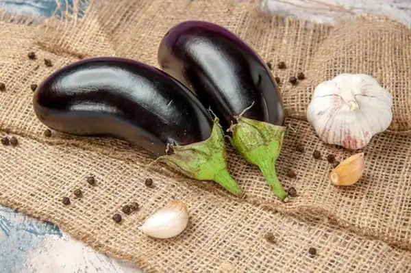 تعبیر خواب بادمجان دادن به مرده برای زن متاهل و باردار و دختر مجرد از روانشناسی