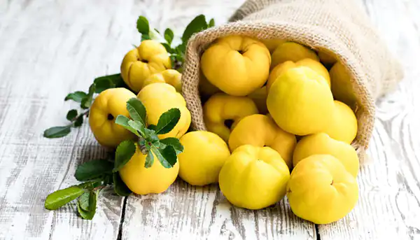 تعبیر خواب میوه زرد برای زن متاهل و باردار و دختر مجرد از روانشناسی