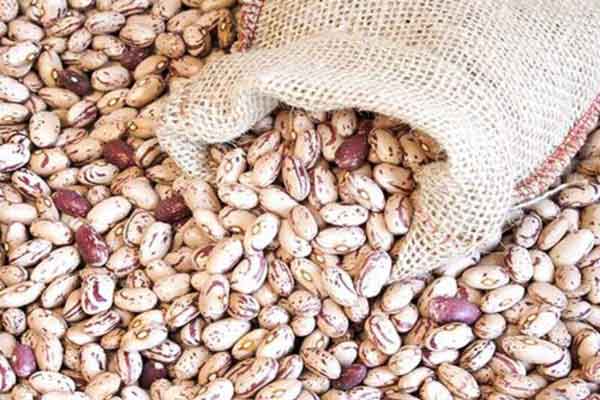 تعبیر خواب لوبیا چیتی خریدن + امام صادق و حضرت یوسف و لوبیا چیتی خام