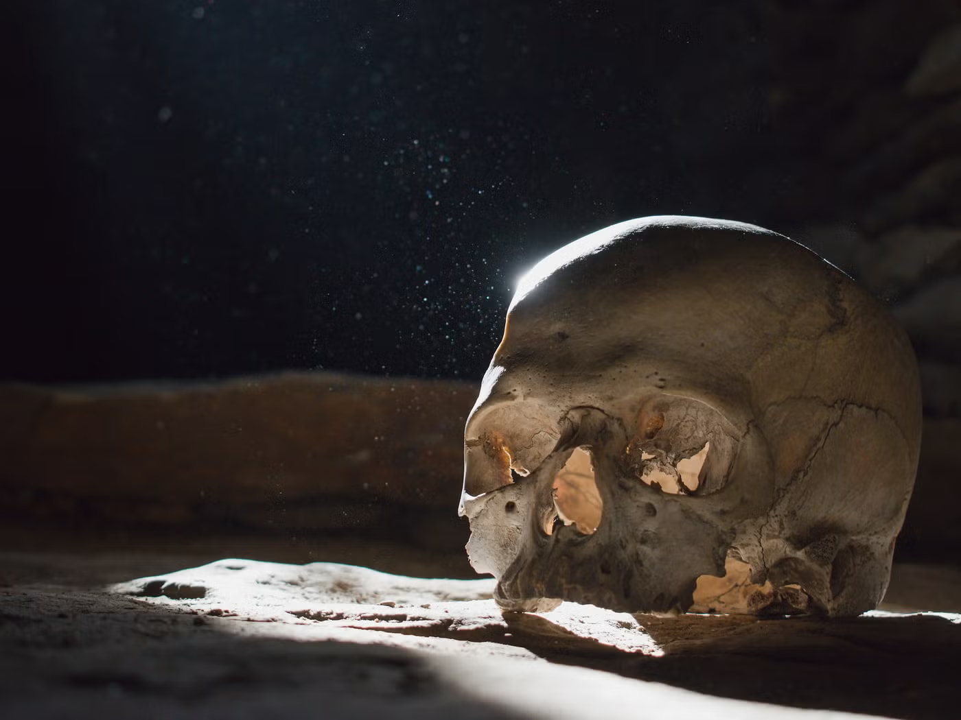 شواهد جدید نشان میدهد نخستین مهاجران از ژاپن به آمریکا سفر کردهاند