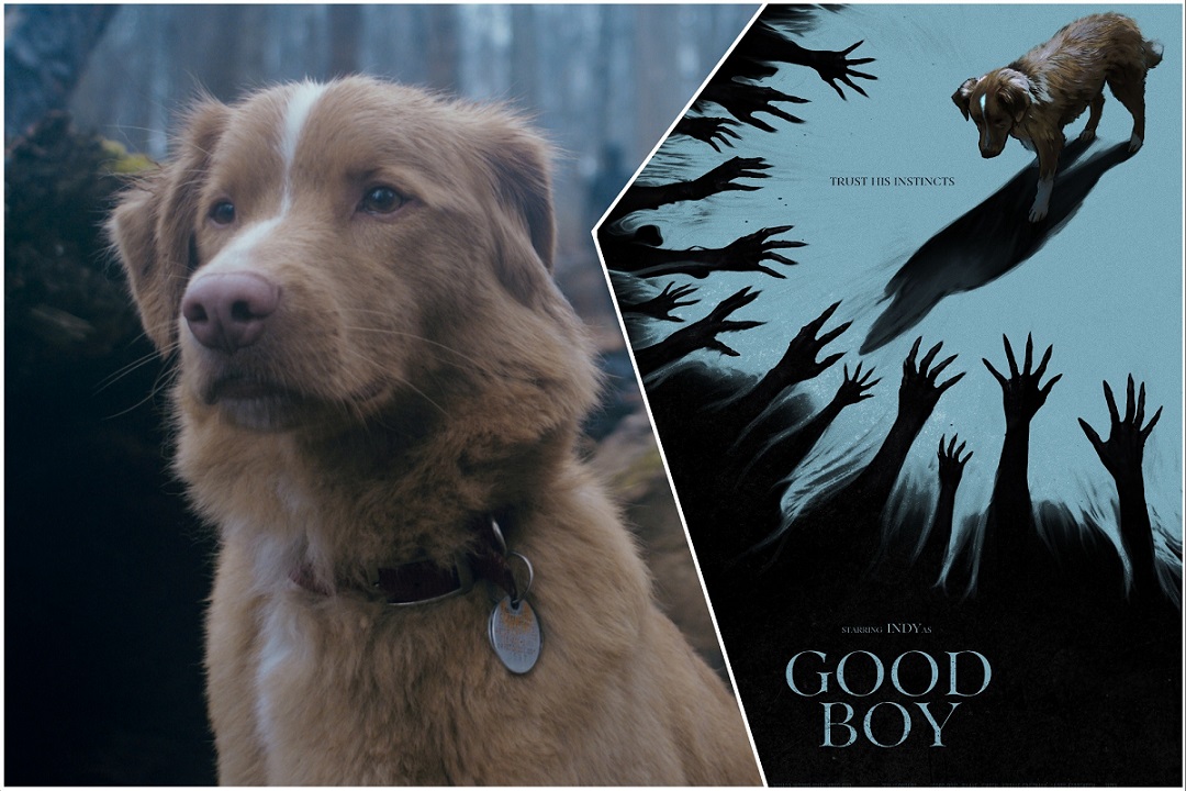 اولین کلیپ از فیلم ترسناک Good Boy منتشر شد