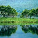 تعبیر خواب سبزه زار و آب + حضرت یوسف و امام صادق و سبزه برای دختر مجرد