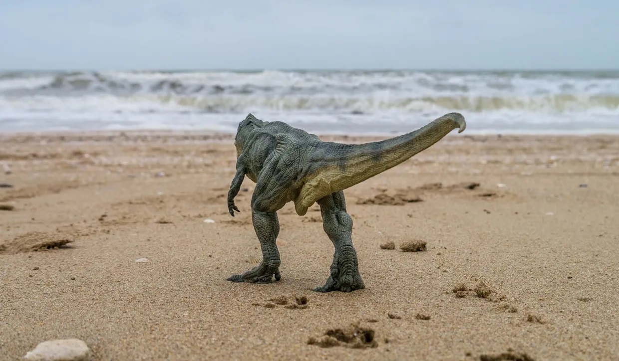 دختری ۱۰ ساله هنگام قدم زدن در ساحل به‌طور اتفاقی به ۵ ردپای دایناسور برخورد کرد