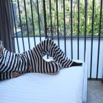 زندان هالدن، جایی که در آن خوش میگذرد!