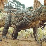 پیش از دایناسورها این خزنده نیرومند بر زمین فرمانروایی می‌کرد