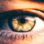 حداکثر وضوح چشم انسان فراتر از آن چیزیست که تصور میشود