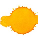 دانشمندان یک گونه زیستی شگفتانگیزی کشف کردهاند که شبیه خورشید است