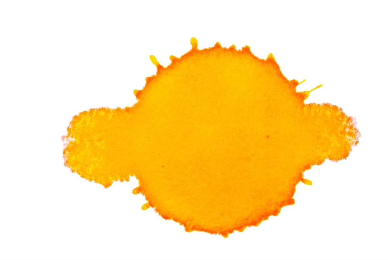 دانشمندان یک گونه زیستی شگفت‌انگیزی کشف کرده‌اند که شبیه خورشید است