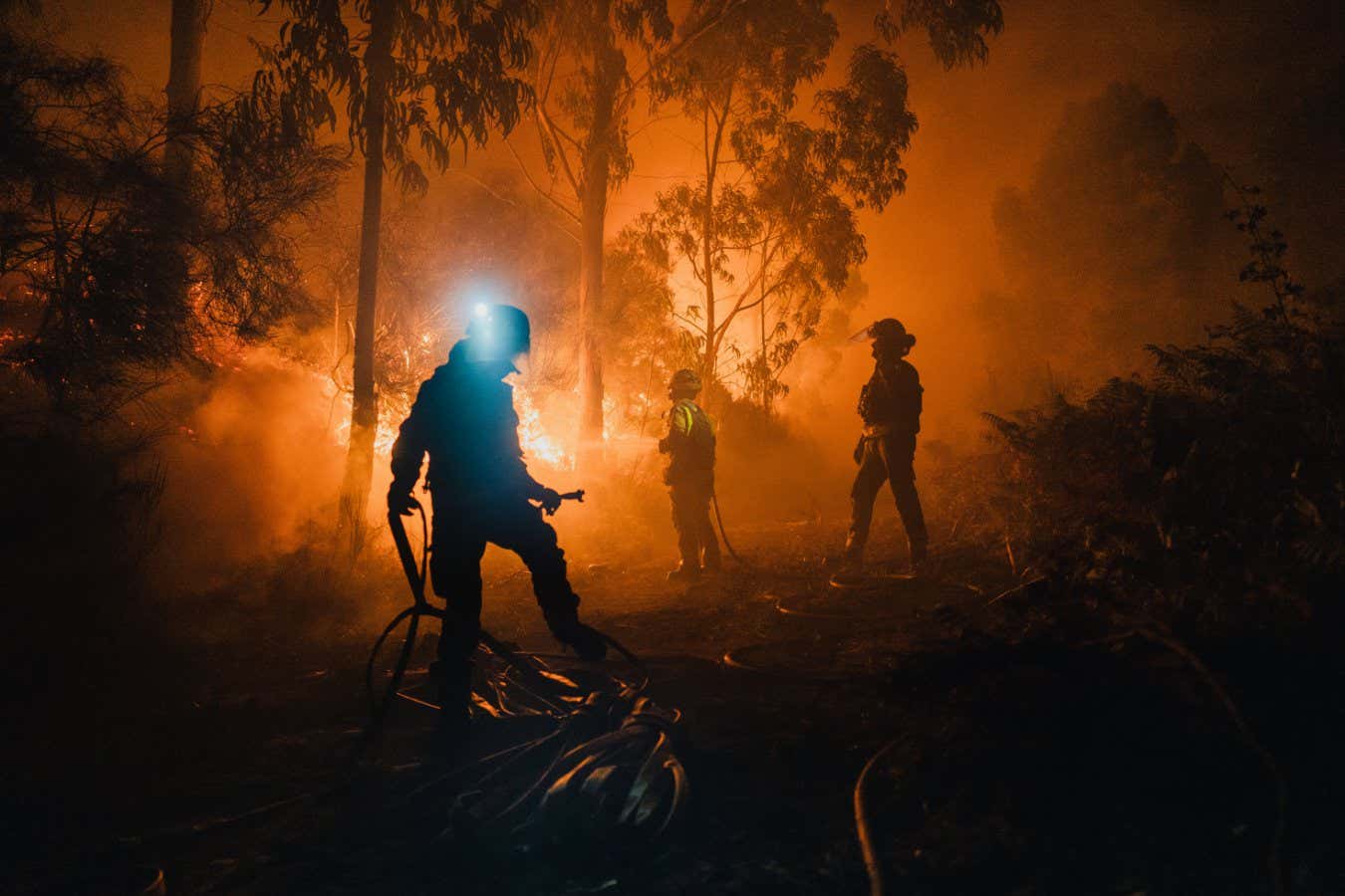 سال ۲۰۲۵ دومین سال گرم تاریخ از زمان آغاز ثبت داده‌ها بوده است