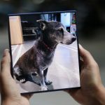 اپل در خانه سامسونگ متوقف ماند ؛ فاصله بزرگ در بازار موبایل کره جنوبی