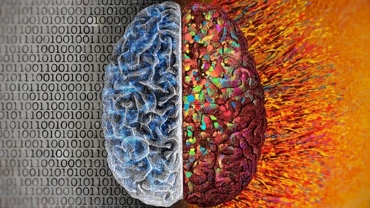 چندزبانه بودن ممکن است روند پیری مغز را کندتر کند