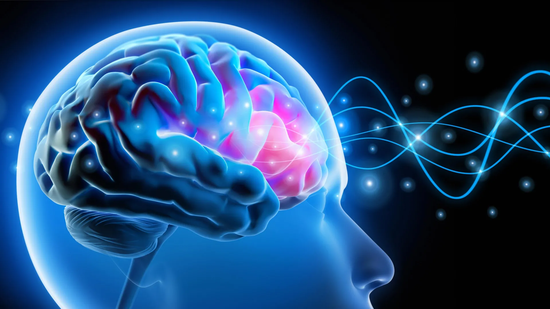 ایجاد یک تغییر در مغز می‌تواند حافظه را بیش از ۲۰۰ درصد تقویت کند