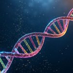 سلول‌های هیبریدی بدن حقیقت عجیبی را درباره DNA تاریک ما آشکار می‌کنند