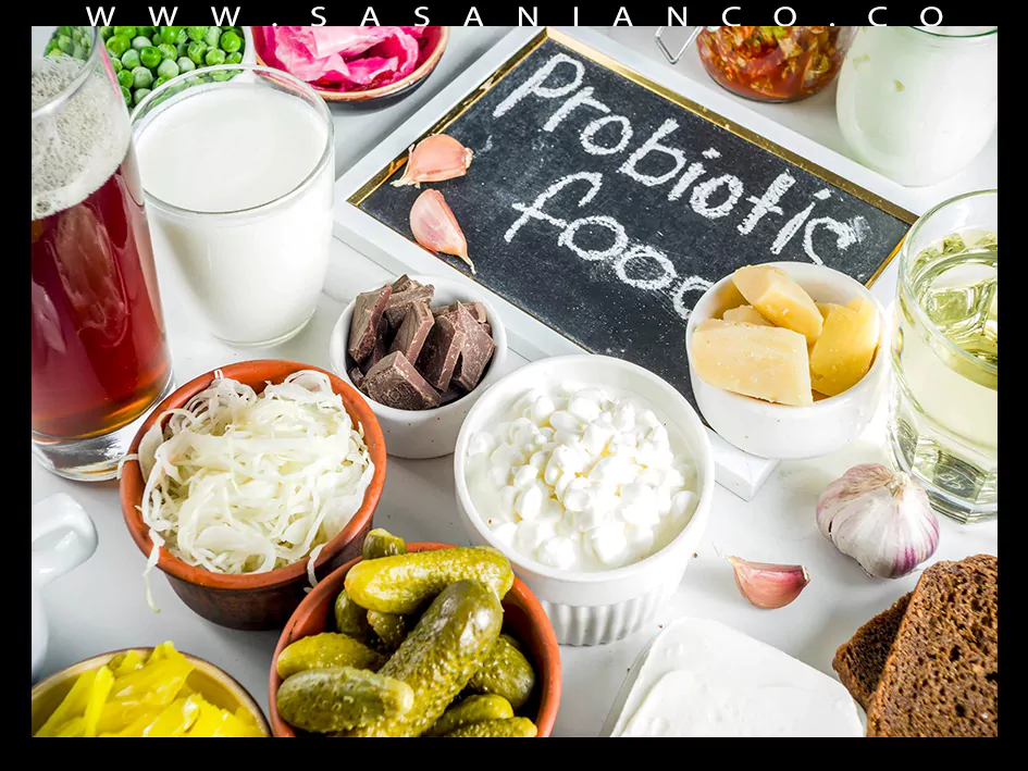 فواید پروبیوتیک ها